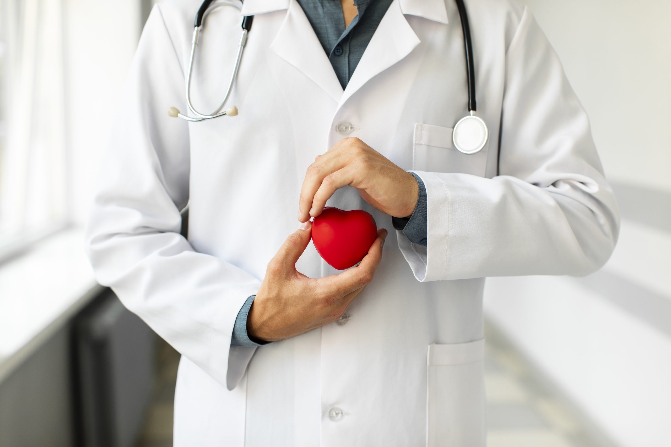 Doctor in a lab coat with a stethoscope holding a heart for high blood pressure and kidney disease