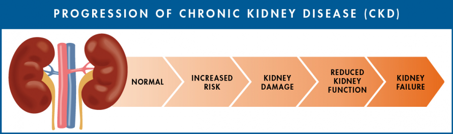 how-fast-does-chronic-kidney-disease-progress-responsum-health