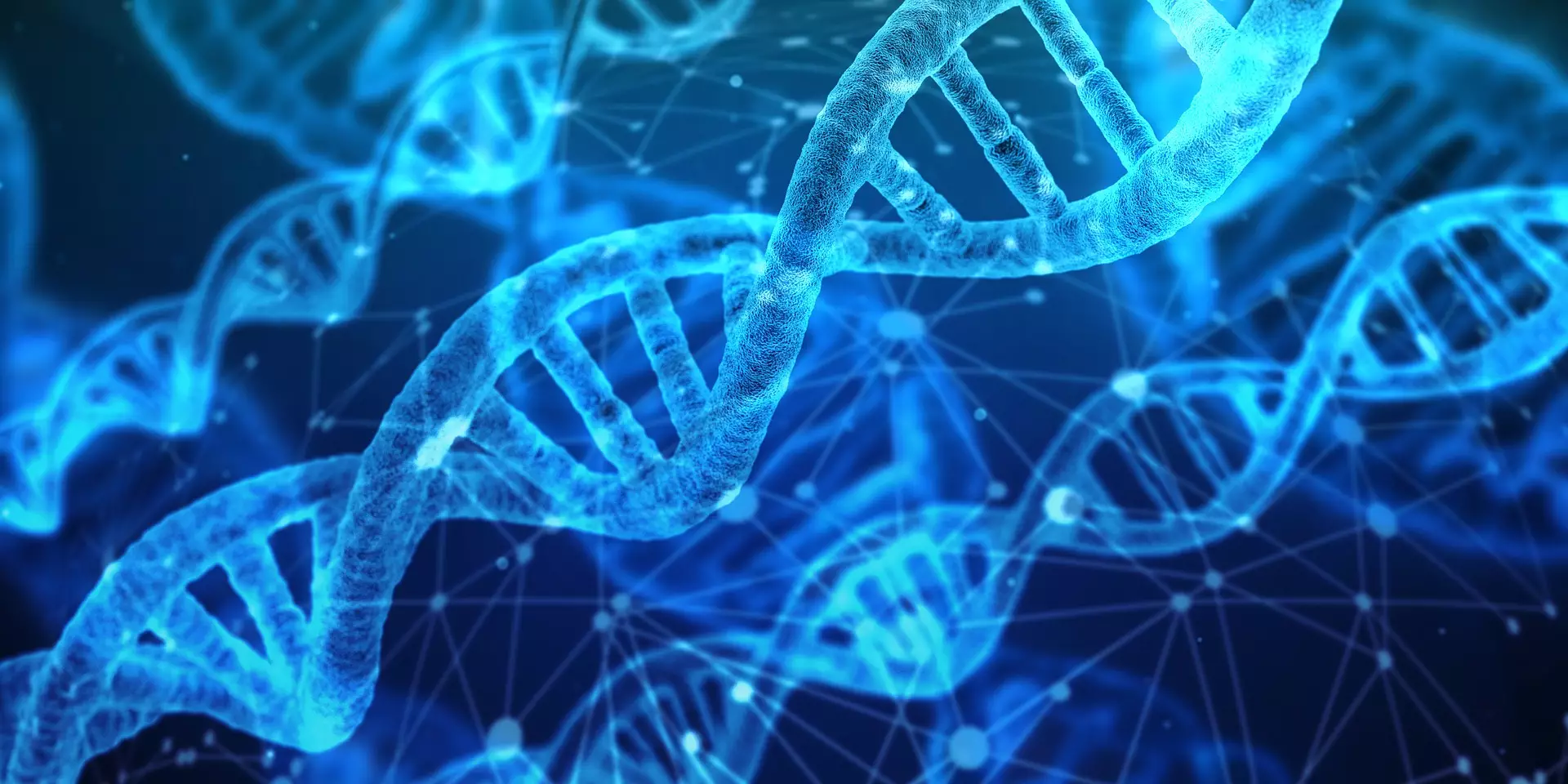 genetic makeup of fibroids