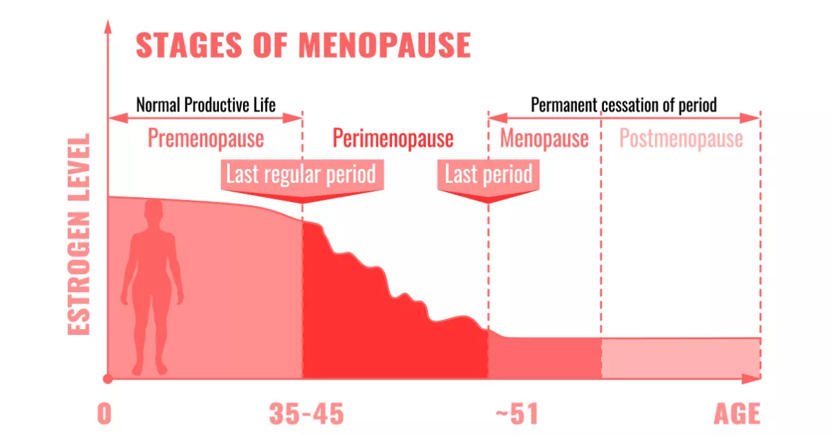 Stages of Menopause