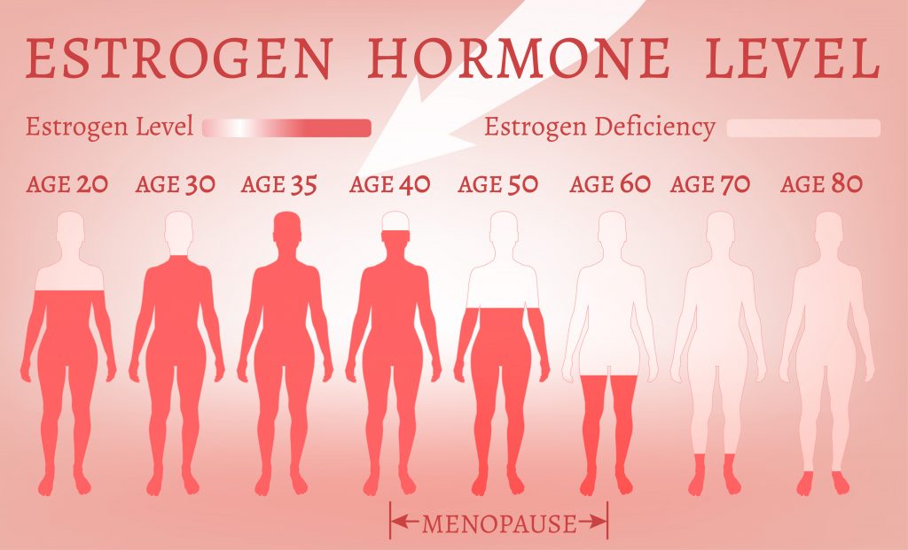 Illustration of estrogen hormone levels in the human body by age