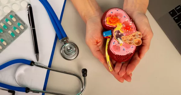 Kidney Health Matters: Here’s How—and Why—to Protect Yours